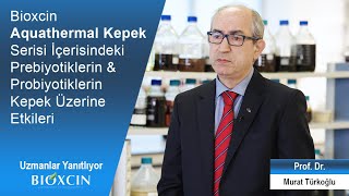 Bioxcin Aquathermal Kepek Serisi İçerisindeki Probiyotikler